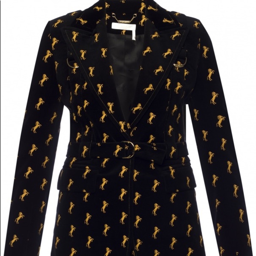 LOOKING FOR THIS JACKET - M OR L - CHLOÉ